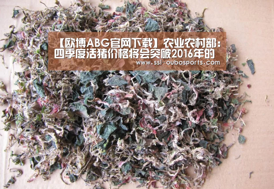 欧博ABG在线娱乐城
