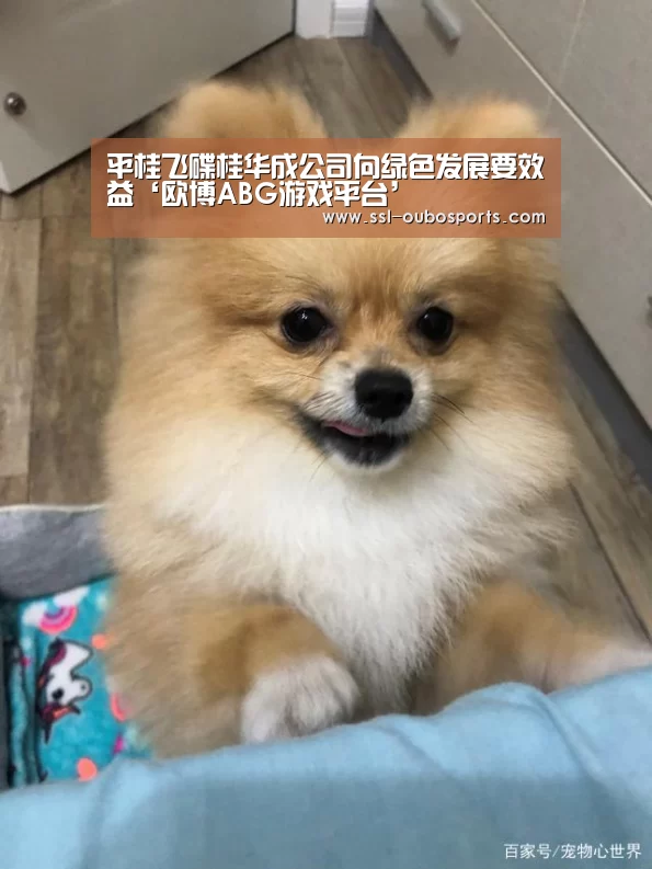 平桂飞碟桂华成公司向绿色发展要效益‘欧博ABG游戏平台’(图4) 欧博ABG官网下载