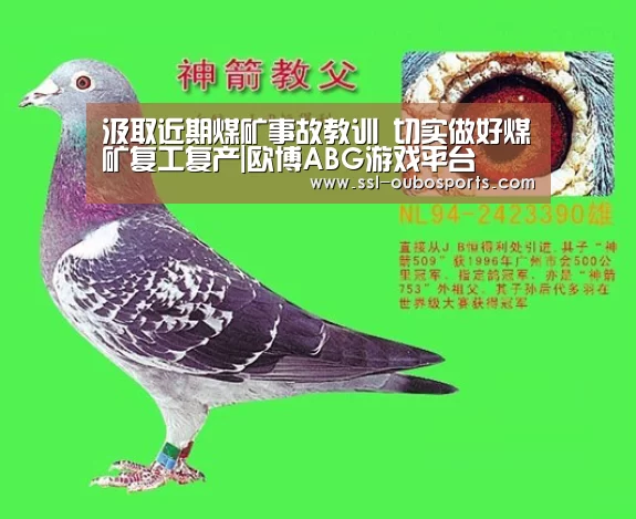 欧博官网下载