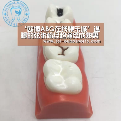‘欧博ABG在线娱乐城’温暖的弦张翰经超演绎成熟男人 张钧甯坦白:不能失去张翰(图3) 欧博官网下载