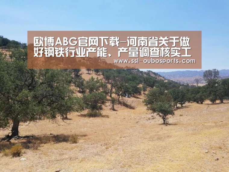 欧博ABG官网下载-河南省关于做好钢铁行业产能、产量调查核实工作的通知_政策法规_新闻_矿道网(图1) 欧博ABG游戏平台