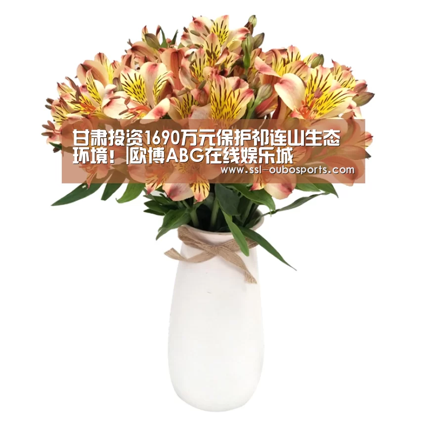 甘肃投资1690万元保护祁连山生态环境!|欧博ABG在线娱乐城(图2) 欧博ABG游戏平台