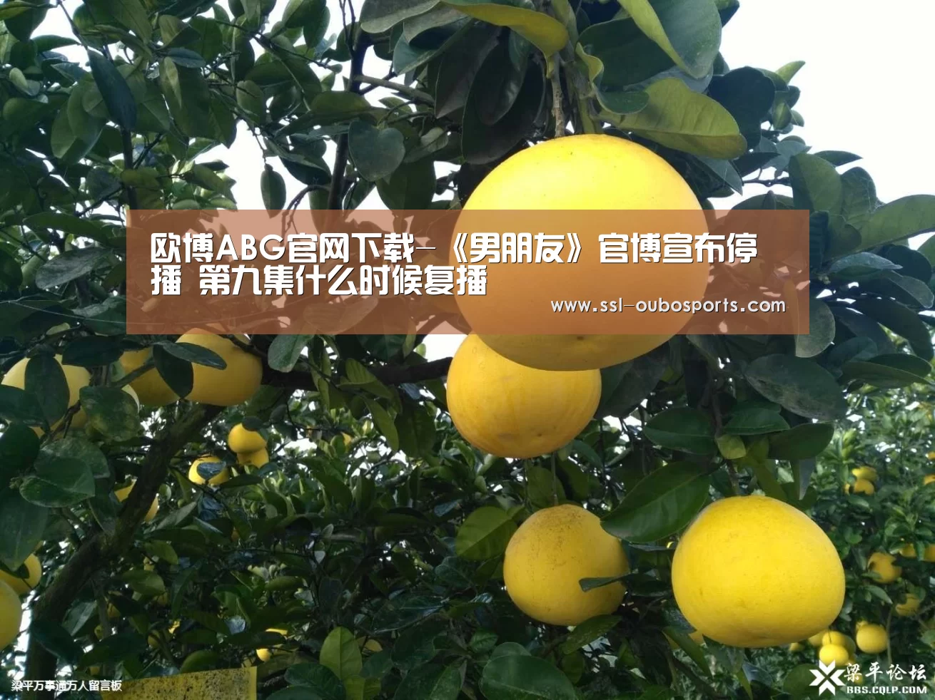 欧博官网下载