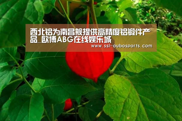 欧博官网下载